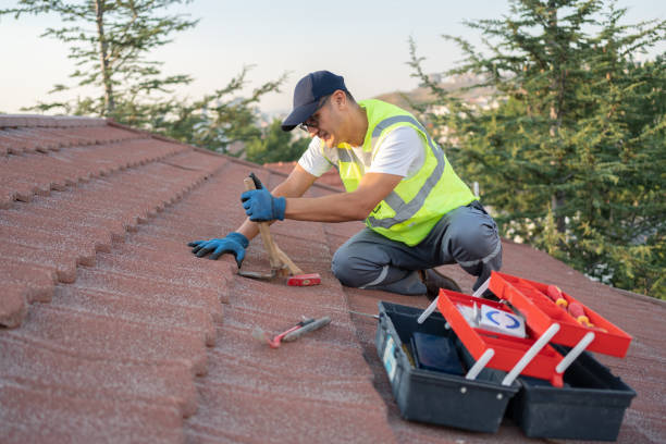 Roof Waterproofing Services in East Grand Forks, MN