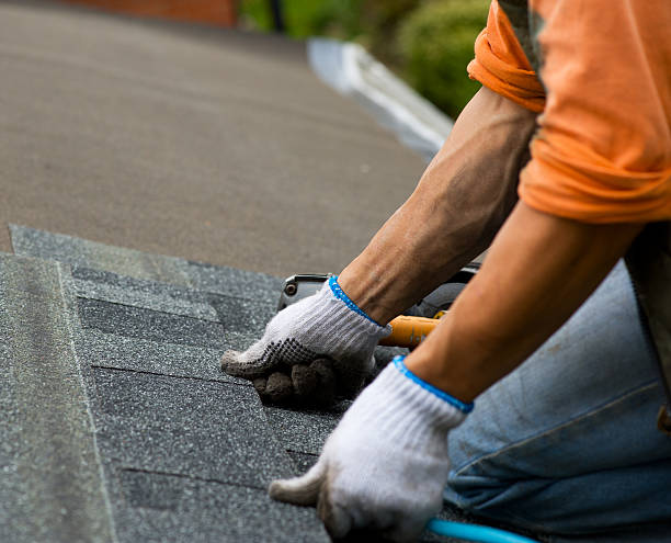 Gutter Installation and Roofing in East Grand Forks, MN