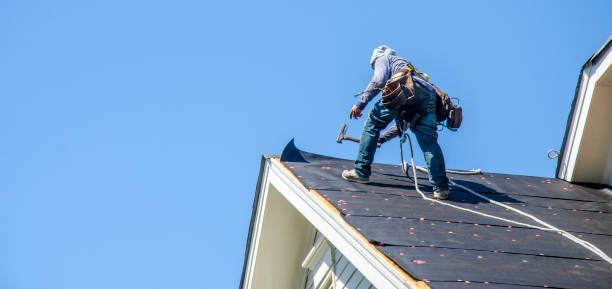 Best Roof Maintenance Services  in East Grand Forks, MN