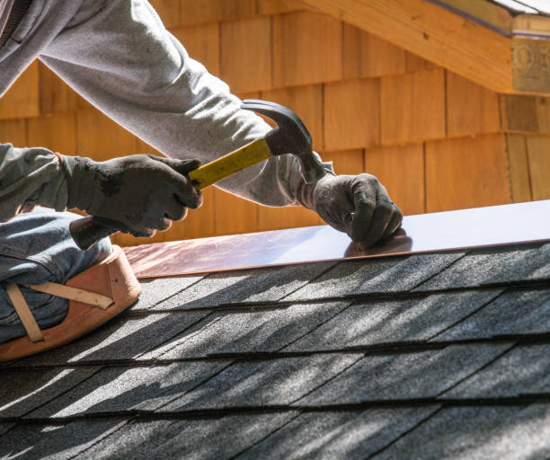 Best Metal Roofing Contractor  in East Grand Forks, MN